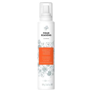 Four Reasons No Nothing Sensitive Strong Mousse