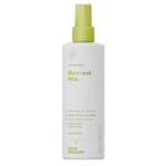 Four Reasons Professional Blow-out Mist