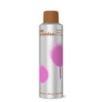 Promise Heat Protection Spray